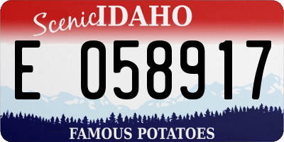 ID license plate E058917