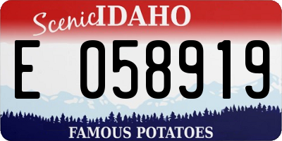 ID license plate E058919