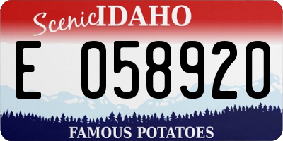 ID license plate E058920
