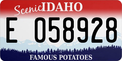 ID license plate E058928