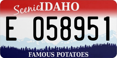 ID license plate E058951
