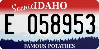 ID license plate E058953