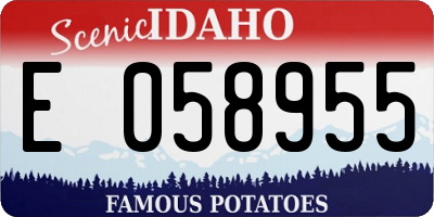 ID license plate E058955
