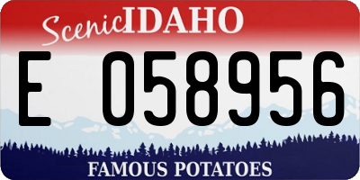 ID license plate E058956