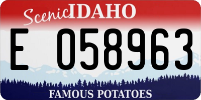 ID license plate E058963