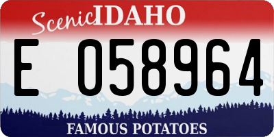 ID license plate E058964