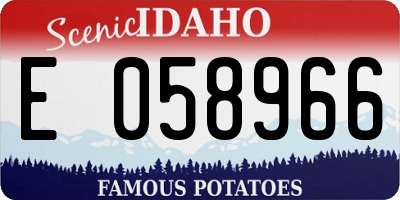 ID license plate E058966