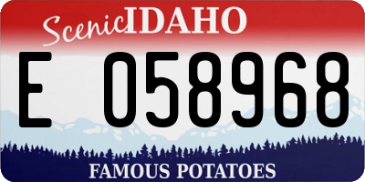 ID license plate E058968