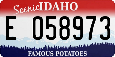 ID license plate E058973