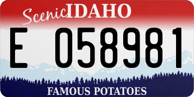 ID license plate E058981