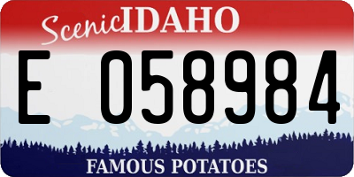 ID license plate E058984