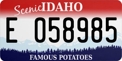 ID license plate E058985