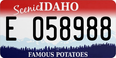ID license plate E058988