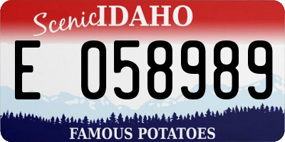 ID license plate E058989