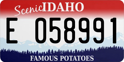 ID license plate E058991