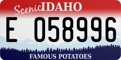 ID license plate E058996