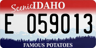 ID license plate E059013