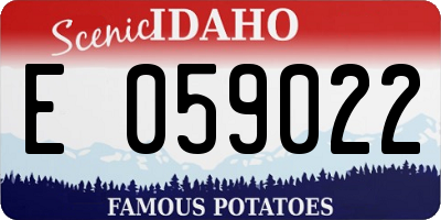 ID license plate E059022
