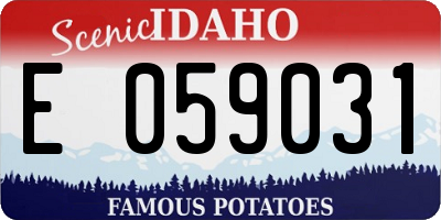 ID license plate E059031