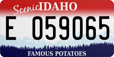 ID license plate E059065