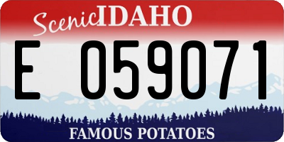 ID license plate E059071