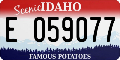 ID license plate E059077