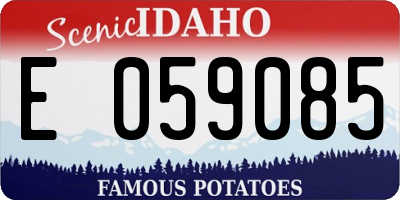 ID license plate E059085