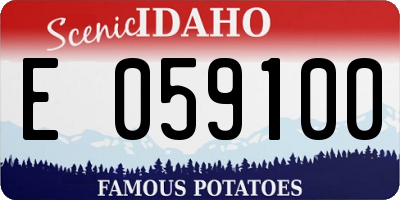ID license plate E059100