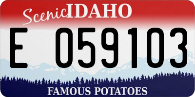 ID license plate E059103