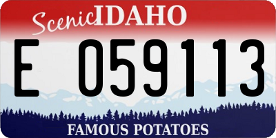 ID license plate E059113