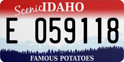 ID license plate E059118