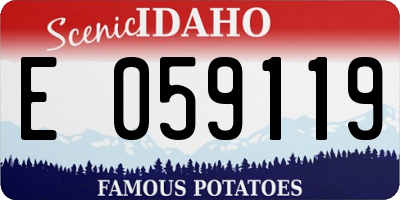 ID license plate E059119