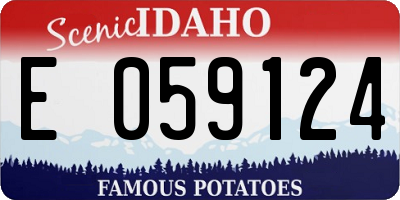 ID license plate E059124