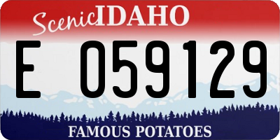 ID license plate E059129