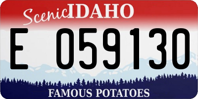 ID license plate E059130