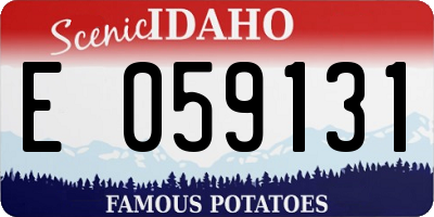 ID license plate E059131