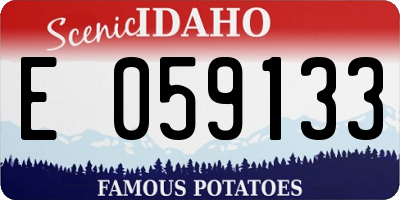 ID license plate E059133