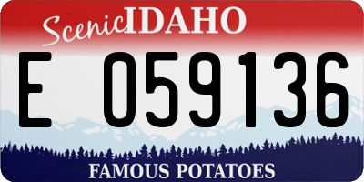 ID license plate E059136
