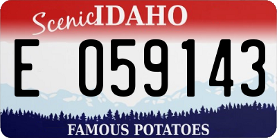ID license plate E059143