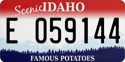ID license plate E059144