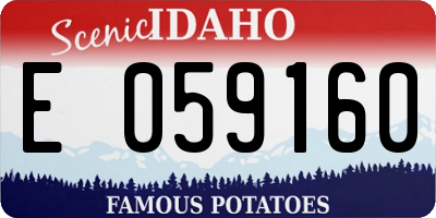 ID license plate E059160