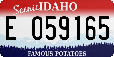 ID license plate E059165