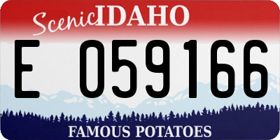 ID license plate E059166