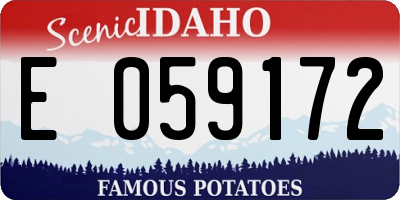 ID license plate E059172
