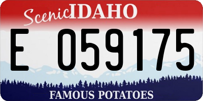 ID license plate E059175