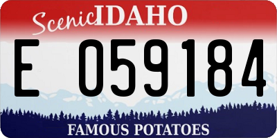 ID license plate E059184