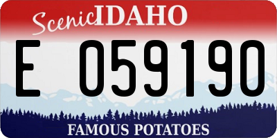 ID license plate E059190