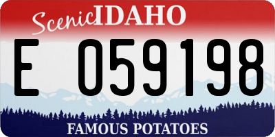 ID license plate E059198