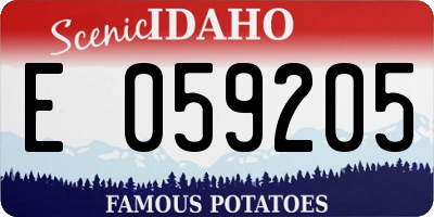 ID license plate E059205
