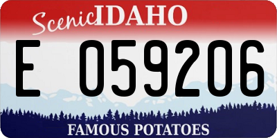 ID license plate E059206